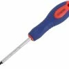 Radon Tournevis Torx Pro