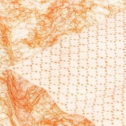 Silca Lingettes De Nettoyage 7 Silca Lingettes De Nettoyage -Magasin de nettoyants Ballistol SILCA Reinigungstucher AM AC 005 COM 0110 4